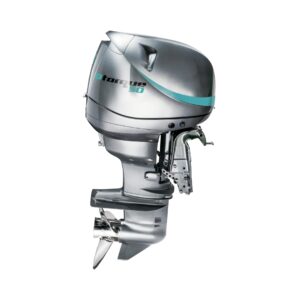 MOTOR FUERA DE BORDA DTORQUE 50 NEANDER MARINE